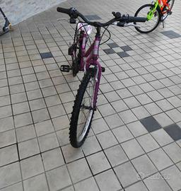 Bicicletta