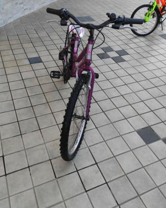 Bicicletta
