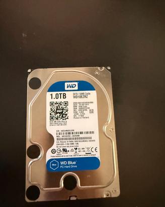 HARD DISK SATA DA 1TB da 3.5 pollici WD