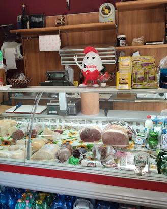 frigo salumeria 