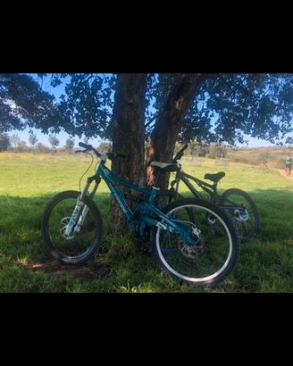 Bicicletta Rockrider dh fr