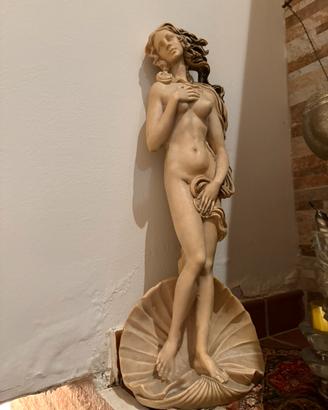 Venere di Botticelli