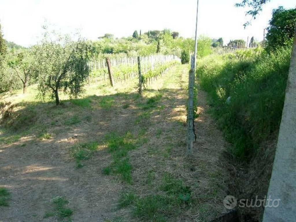 Rustico / Casale di 700 m² con più di 5 locali e b - Vista 5