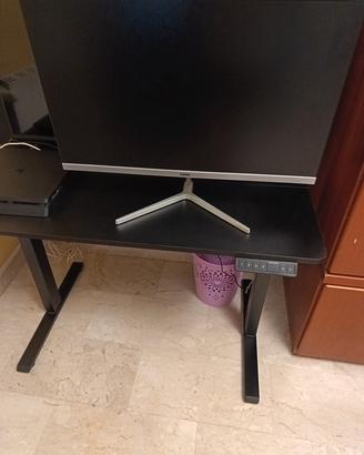 monitor 28 pollici ioplee