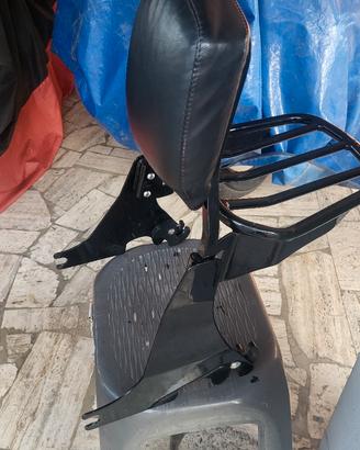 sissy bar hd