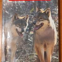 Lo sguardo del Lupo - Giancarlo Ferron