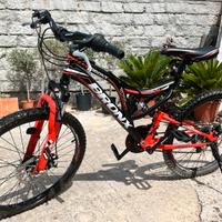 Bici 24