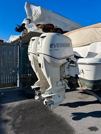Coppia Evinrude E-tec 250