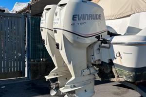 Coppia Evinrude E-tec 250