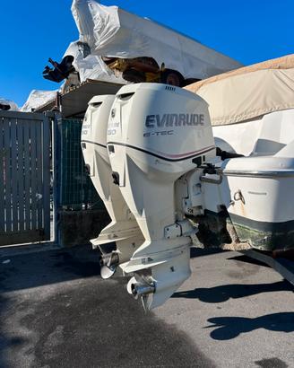 Coppia Evinrude E-tec 250