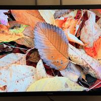 MONITOR PHILIPS BDL6541E 65 POLLICI FULL HD -  LCD