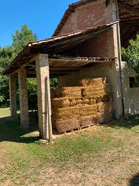 Paglia in ballette