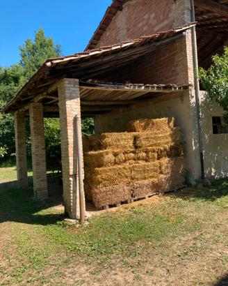 Paglia in ballette