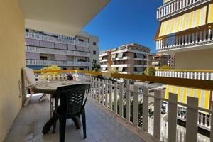 3 LOCALI A NETTUNO