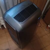 condizionatore pinguino DeLonghi 