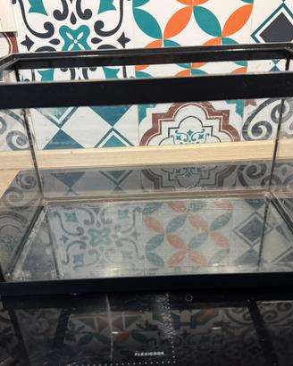Acquario in vetro