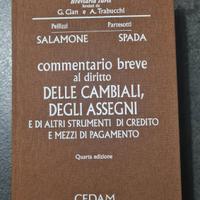 commentario al Diritto delle Cambiali