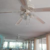 Ventilatori a soffitta