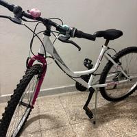 Bici ragazza 24
