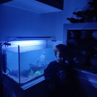 acquario 120 litri 80x40x35cm con luce led colori