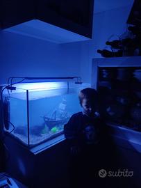 acquario 120 litri 80x40x35cm con luce led colori