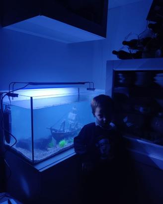acquario 120 litri 80x40x35cm con luce led colori