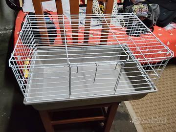 gabbietta per conigli 