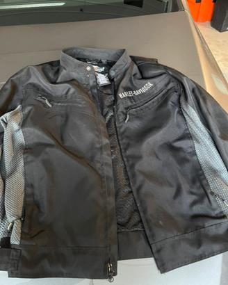 Harley giubbino estivi