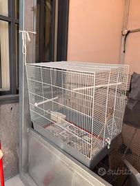 Voliera per uccelli