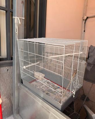 Voliera per uccelli