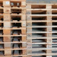 Bancali Epal omologati 80 × 120