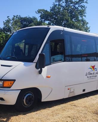 IVECO 65C15 Minibus – 23 Posti – Pronto all'Uso