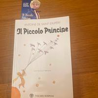 IL PICCOLO PRINCIPE