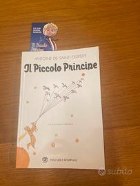 IL PICCOLO PRINCIPE