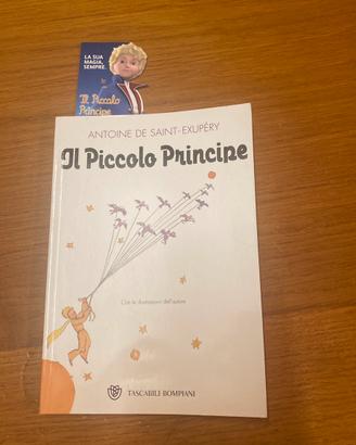 IL PICCOLO PRINCIPE