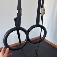Anelli Calisthenics o ginnastica