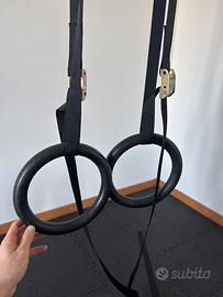 Anelli Calisthenics o ginnastica
