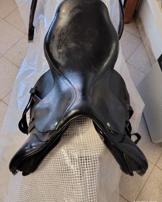 Sella equitazione salto ostacoli FORESTIER