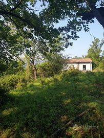 Terreno 6 ettari con casetta