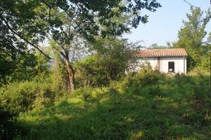 Terreno 6 ettari con casetta