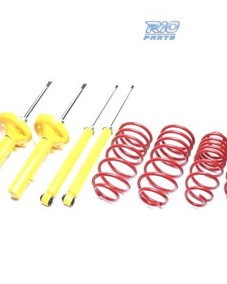 SOSPENSIONE SPORTIVA RENAULT MEGANE 2002-2009 45/4