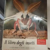 Libro degli insetti