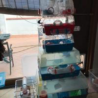 Gabbie Ferplast in blocco