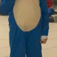 vestito di carnevale Sonic