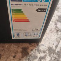 Frigo portatile
