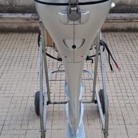 Motore fuoribordo honda 15 cv