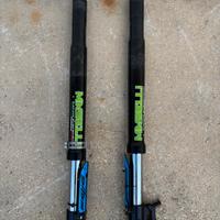 Forcelle masselli 56-42