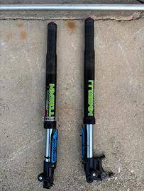 Forcelle masselli 56-42