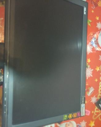 monitor asus