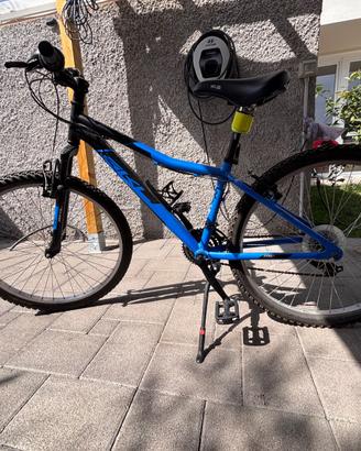 Bici mountain bike